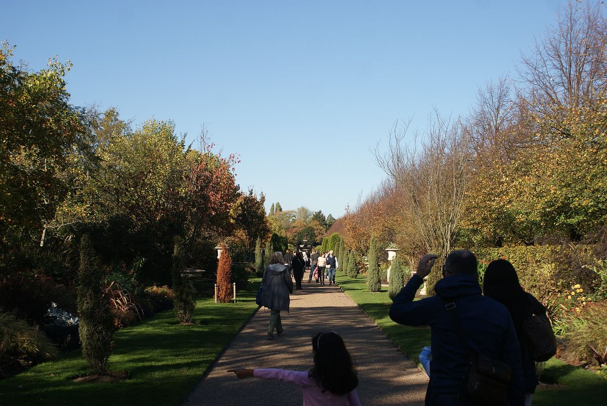 Tree-lined Broad Walk path in The Regent's Park in autumn, with people walking
